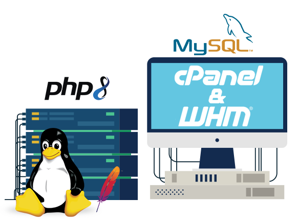 cPanel Reseller Hosting India | Squarebrothers